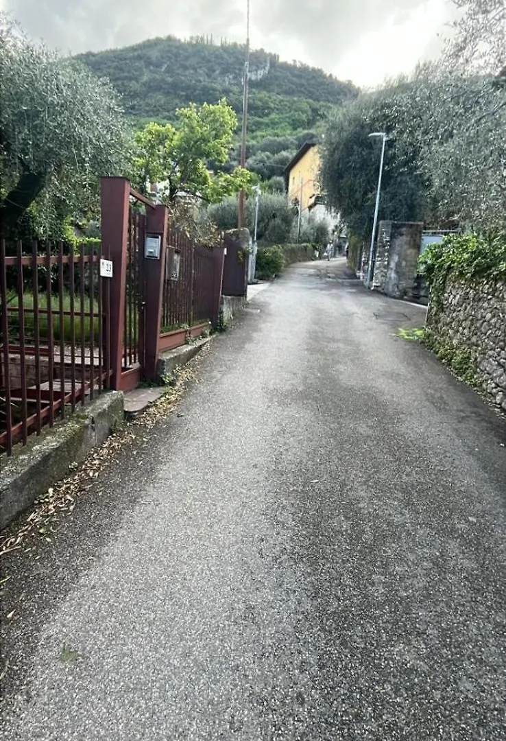 Apartment Appartamenti Estera Malcesine